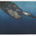 aus der Serie: under water, Unikat, Lithografie vom Stein, auf Büttenpapier, 59,4x42cm, 2017