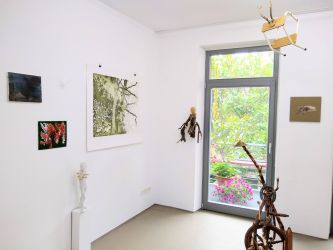 Ausstellungsansicht "Hambi bleibt", Projektraum Neues aus dem Wald, Düsseldorf, 2019