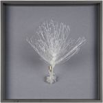 growth I, Wandobjekt, Farbloses PLA-Filament, gerahmt, 20x20 cm, 2019