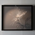floral V, Wandobjekt, Farbloses PLA-Filament, gerahmt, 24x30x15 cm, 2019