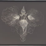 floral VI, Wandobjekt, farbloses PLA-Filament, gerahmt, 88 x 108 x 35 cm, 2020