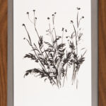 aus der Serie "garden" IV, Tusche auf Papier, 14,8 x 21 cm, 2021