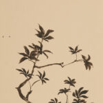 aus der Serie "secret garden" (o.s.) VII, Tusche auf Papier, 14,8 x 21 cm, 2021