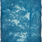 aus der Serie "There Is A Story" (24), Cyanotypie auf Kozo Washi, ca. 5 x 7 cm, 2024
