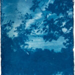 aus der Serie "There Is A Story" (24), Cyanotypie auf Kozo Washi, ca. 5 x 7 cm, 2024