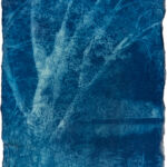 aus der Serie "There Is A Story" (24), Cyanotypie auf Kozo Washi, ca. 5 x 7 cm, 2024