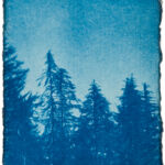 aus der Serie "There Is A Story" (24), Cyanotypie auf Kozo Washi, ca. 5 x 7 cm, 2024