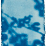 aus der Serie "There Is A Story" (24), Cyanotypie auf Kozo Washi, ca. 5 x 7 cm, 2024