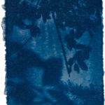 aus der Serie "There Is A Story" (24), Cyanotypie auf Kozo Washi, ca. 5 x 7 cm, 2024