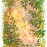 Kathrin Edwards, Aquarell auf Büttenpapier, 11,6 x 17,1 cm, 2025