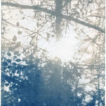 Kathrin Edwards, blue memories (25) IV, Cyanotypie auf Büttenpapier, Unikat, 10x15, 2025