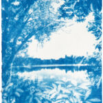 Kathrin Edwards, blue memories (25) V, Cyanotypie auf Büttenpapier, Unikat, 10x15, 2025