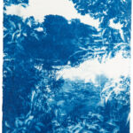 Kathrin Edwards, blue memories (25) VI, Cyanotypie auf Büttenpapier, Unikat, 10x15, 2025