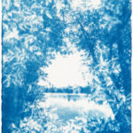 Kathrin Edwards, blue memories (25) VII, Cyanotypie auf Büttenpapier, Unikat, 10x15, 2025