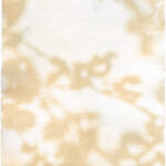 Kathrin Edwards, light and shadow (25) 1, Cyanotypie und Aquarell auf Büttenpapier, Unikat, 11,6 x 17,1 cm, 2025