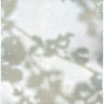 Kathrin Edwards, light and shadow (25) 2, Cyanotypie und Aquarell auf Büttenpapier, Unikat, 11,6 x 17,1 cm, 2025