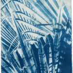 Kathrin Edwards, Summer Sun (25|I) II, Cyanotypie auf Kozo Washi, Auflage 5, 14 x 19 cm, 2025