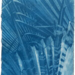 Kathrin Edwards, Summer Sun (25|I) I, Cyanotypie auf Kozo Washi, Auflage 5, 14 x 19 cm, 2025