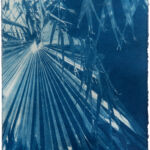 Kathrin Edwards, Summer Sun (25|I) V, Cyanotypie auf Kozo Washi, Auflage 5, 14 x 19 cm, 2025