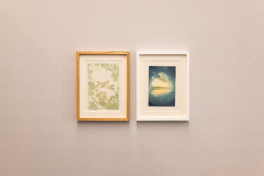 Ausstellungsansicht "Nothing Stays the Same", mit Alejandra Baltazares und Sarah Kirschnick, ArtArtist ,Düsseldorf, 2026